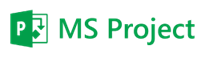 Ms Project